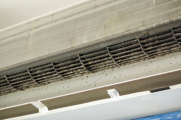 Best Local Air Duct Cleaning Services  in Wfield, IN